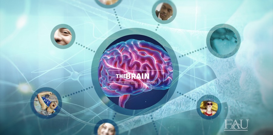 Neuroscience Research