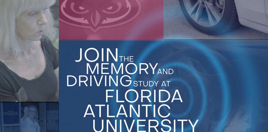 Elderly Driver Study