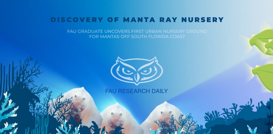 2D Animation: Manta Ray Nursery